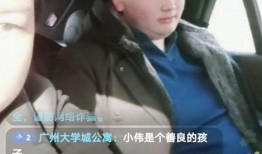 白衣教练最新爆料视频播放,最新爆料视频深度解析